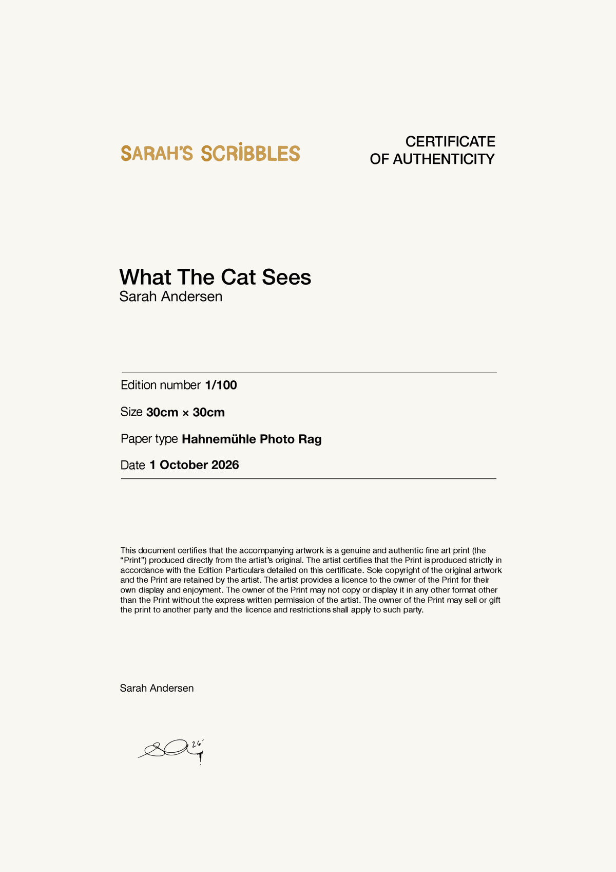 What The Cat Sees — Certificate of Authenticity