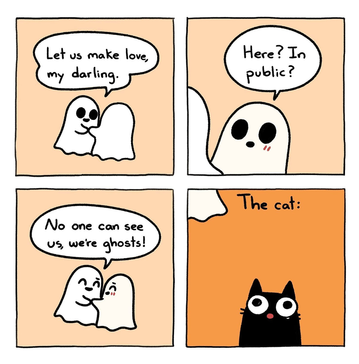 What The Cat Sees